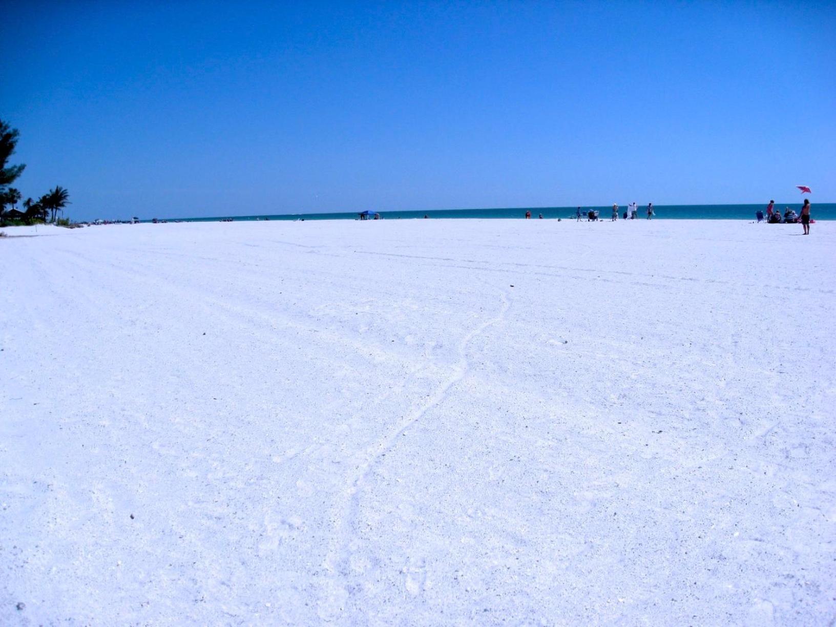 Anna Maria Island Beach Palms 8B Bradenton Beach Bagian luar foto